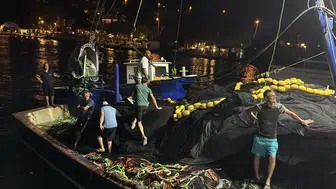 Muğla'da denizlerin bereketi için düğmeye basıldı: 666 bin yavru balıkla yeni sezon heyecanı