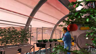 Mars toprağında tarım yapmak mantarlar sayesinde mümkün olabilir