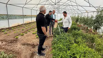 Bayburt'ta dolu vurdu çiftçinin ürünü tarlada kaldı