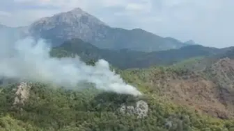 Alevler alarm verdi: Ekipler yangını söndürmek için seferber oldu