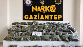 Polis 71 ilde zehir tacirlerine ağır darbe indirdi