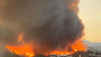 Fethiye'de akşam saatlerinde orman yangını Karagedik Mahallesi'ne yakın bölgede alevlere müdahale sürüyor