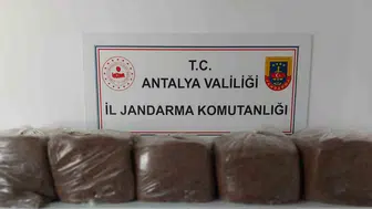 Antalya’da kaçak tütün operasyonu 285 kilo ürüne el konuldu