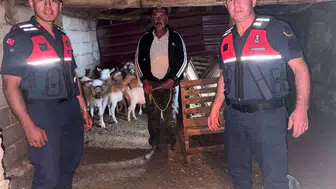 Bayramiç dağlarında kaybolan sürüsünü jandarma kurtardı