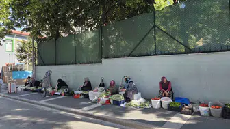 Samsun'da bamya fiyatı boyuta göre değişiyor, küçüğü 250 TL