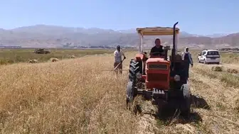 Yüksekova tarlalarında hummalı hasat dönemi başladı