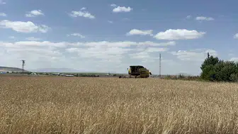 Karslı çiftçinin hasat mesaisi başladı