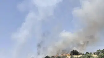 Çermik’teki yangın yerleşim yerine sıçramadan durduruldu