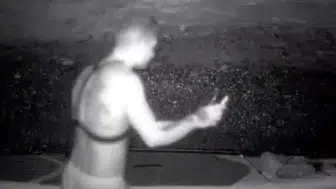 Fotokapan kaydetti Mağaraya giren kişiyi gören fok ailesi denize kaçtı