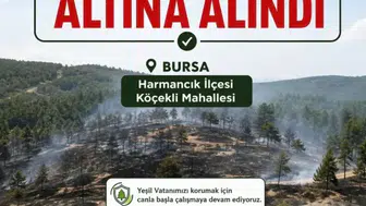 Harmancık'ta korku dolu anlar: Tarım arazisinden ormana sıçradı