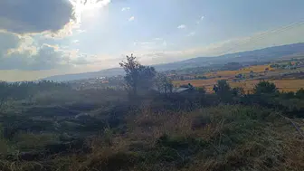 Bolu’da anız yangını ormana sıçramadan durduruldu