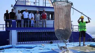 Hatay’ın balığı sofraları Avrupa’da kuruyor