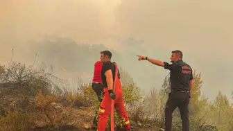 Muğla ormanlarını kendi elimizle yakıyoruz