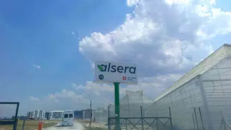 Afyonkarahisar’da serada zehirlenme paniği