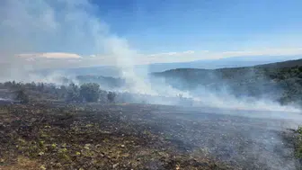 Kastamonu Taşköprü'de orman yangını korkuttu