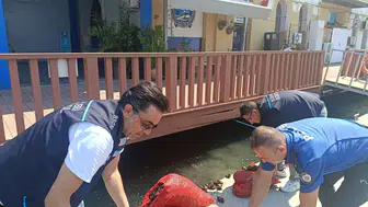 İnciraltı açıklarında yasa dışı midye avına polis baskını