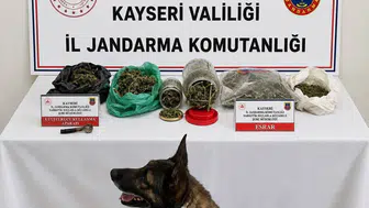 Yahyalı'da jandarma baskını: Adresinden cephanelik ve uyuşturucu çıktı