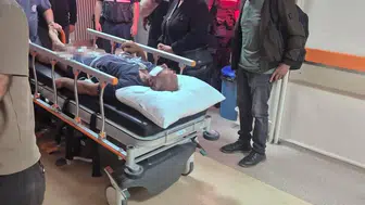 Sivas'ta çobanı köpekleri kurtardı