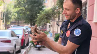 İnegöl'de boruya sıkışan yavru kedi ekipleri harekete geçirdi