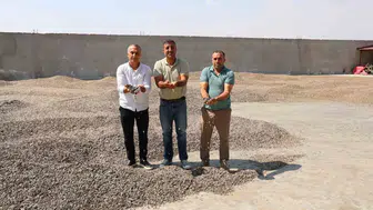 Kahramanmaraş’ta ay çekirdeği hasadı