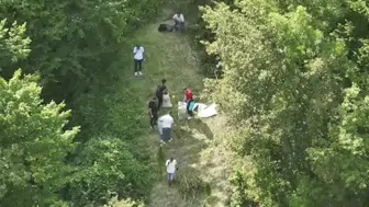 Jandarma Bafra'da arazide 138 kilo esrar buldu, 1 tutuklama