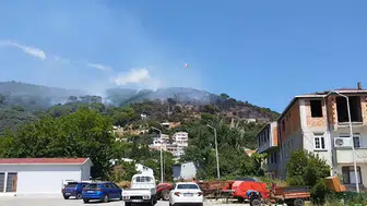 Marmara Adası'nda bir kaynak kıvılcımı ormanı küle çevirdi