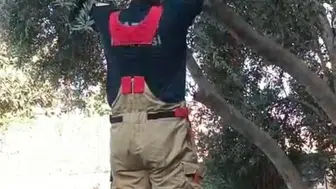 Hatay'da ağaca sıkışan kediyi itfaiye kurtardı