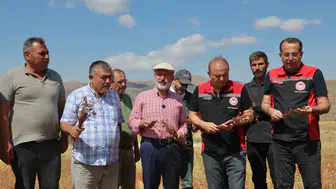 Kayseri'de tarımda yeni dönem Karabuğday hasadı başladı