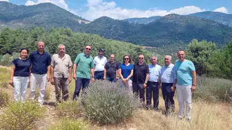 Fethiye’nin şifalı bitkileri sanayiye dönüşüyor