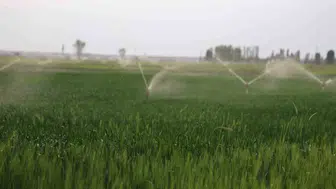 Konya Ovası’nda toprak çöküyor Obruk sayısı 740’ı aştı