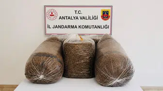 Jandarma iki ilçede kaçak tütün avına çıktı, 365 kilo ele geçti