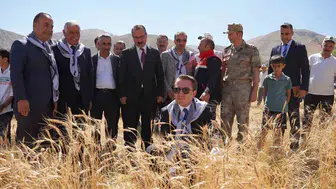 Buğday hasadında kaymakam da tarladaydı