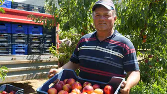 Meyve suyu firmaları 5 liraya alıyor, market rafı pahalı