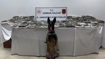 Samsun'da tır operasyonu 132 kilo esrar ele geçirildi