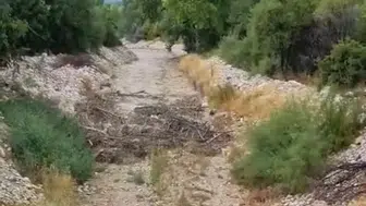 Malatya’da aniden bastıran sağanak sele dönüştü