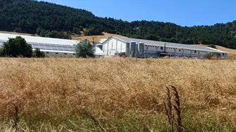 Bolu’da hindi çiftliğinde elektrik hattı alev aldı