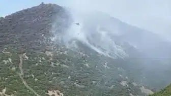 Karakoçan'daki orman yangını kontrol altına alındı
