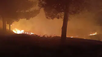 Kurtalan'da mezarlık yangını kısa sürede söndürüldü
