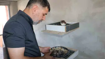 Diyarbakır'ın güvercin oteli yangın küllerinden yeniden doğdu