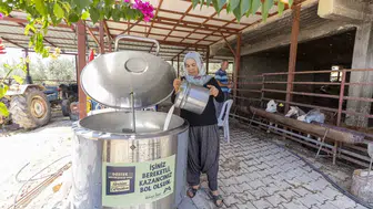 Mersinli süt üreticisine büyükşehir desteğiyle yarı yarıya indirim