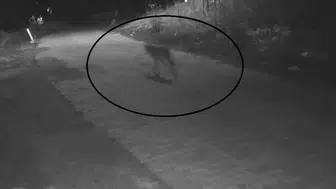 Sivaslı kadının gece çöp macerası kabusa döndü
