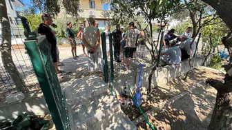 Burhaniye’de belediyenin ağaç kesme planına mahalleli engeli