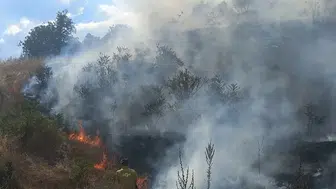 Bozüyük'te Kızıltepe eteğinde yangın Ekipler havadan ve karadan müdahalede