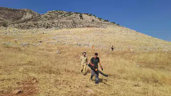 Silvan'da 400 dönüm kül oldu Alevler yerleşim yerlerini teğet geçti