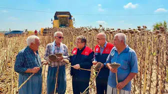 Tarsus'ta ayçiçeği hasadı başlıyor, bu yıl 4 bin 485 ton bekleniyor