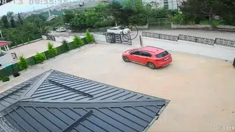 Ordu’da otomobilin çarptığı köpek öldü küçük kız baygınlık geçirdi