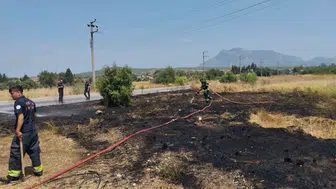 Datça’da evlerin dibinde korkutan ot yangını