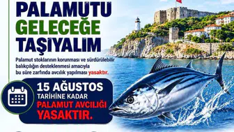 Sinoplu balıkçılar için palamut avı 15 Ağustos'a kadar yasak
