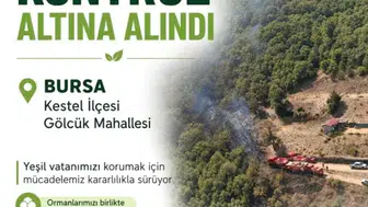 Bursa'da korkutan orman yangını: Ekiplerin 2,5 saatlik zorlu mücadelesi sonuç verdi