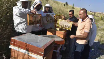 Bitlis balı bilimle dünyaya açılıyor